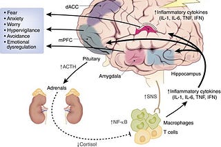 Trauma, Inflammation, and Plants