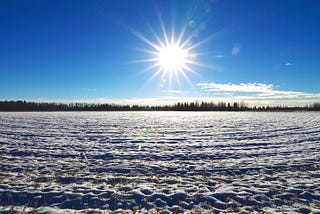 Snow in Creamer’s Field