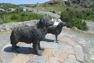 New Found Names: Newfoundland and Labrador Dogs