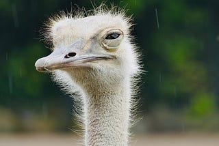 Overnight… It’s a Challenge to Put Socks On?