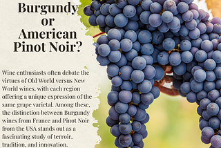 Burgundy or American Pinot Noir