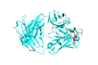 Immunization against HIV-1 with Adoptive Cell Transfer of Engineered B cells: A Review