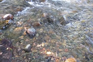 Vulnerability: From Avoidance to Embrace
