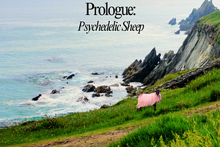 Psychedelic Sheep