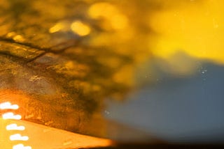 the Hearts of Gold ::.