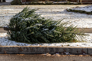 A Christmas tree on the curb for garbage pickup.