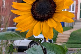 The Gateway of Autumn
