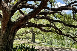 How to make your own Spa Retreat Vacation: New Orleans Edition