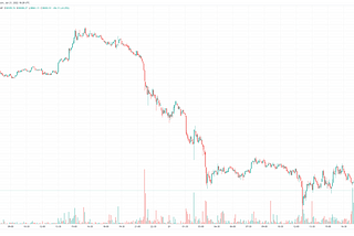 Thoughts on the Down Market