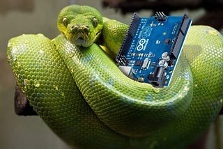 The gist of Python