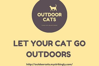 Dos and don’ts of training your cats to become outdoor cats