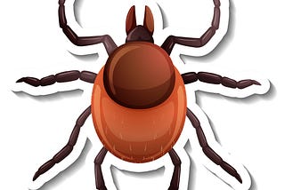 Why Professional Bed Bug Control Service in Noida Works Better Than DIY Solutions