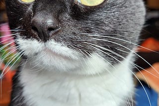 Sentient