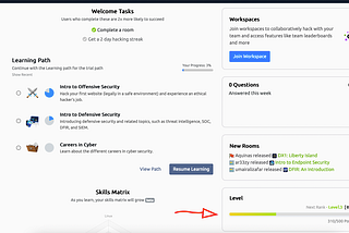 What are levels on TryHackMe?