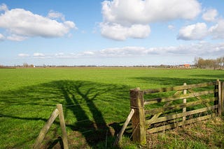 Dutch Agricultural Export Boom - 124 Billion Euros in 2023