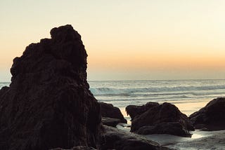I Went Surfing Without Knowing How To Swim
