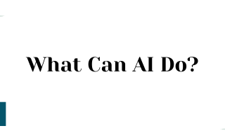 What Can AI Do?