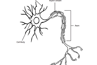 The Science Behind Depression