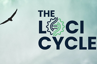 Loci Cycle Course Review: The Program With Which Building A Profitable Side Hustle Is As Simple As…