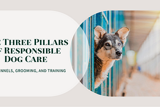 The Triple Pillars of Responsible Dog Care: Dog Kennels, Dog Grooming, and Dog Training