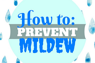How to Prevent Mildew in Your Home