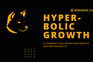 Floki DAO Hyperbolic Growth Strategy