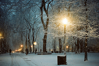 Snowy Night, Portland, Oregon