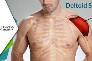 Deltoid Strain | Understanding Causes, Symptoms, and the Role of Physiotherapy in Recovery