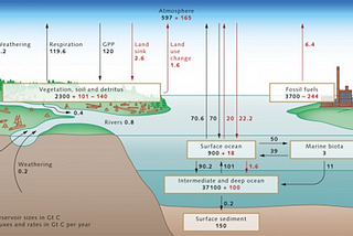 Climate Understanding: The Carbon Cycle.