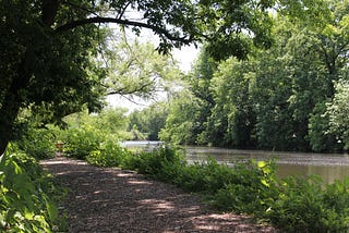 a peaceful creek and walking path on a sunny day
