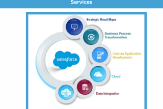 Salesforce development services