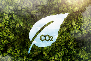Conducting Diligence in Carbon Sequestration of Forest & Nature-based Projects