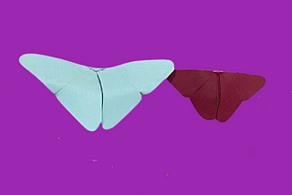 origami blog #2