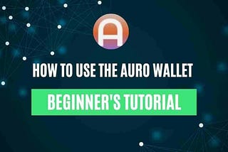 How To Use The Auro Wallet