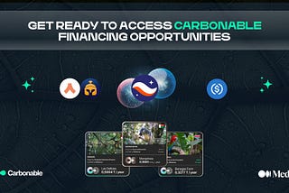 Get Ready to Participate in Carbonable’s Premium Carbon Removal Projects