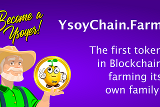 Get to know the ysoy chain farm project