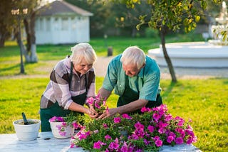 Indoor Plants & their surprising health benefits for Seniors