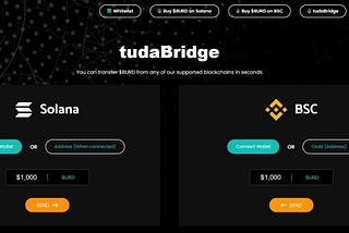 tudaBirds Update | Cross-Chain | Bridge Between Blockchains | metaNest | NFT9K Drop | NFB Evolution…