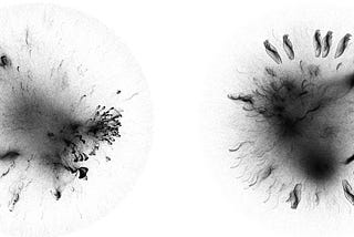 Dynamic Visualization of Blockchain Network