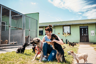 Competitive Analysis of Leading Pet Adoption Platforms in US and India.