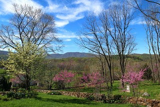 Behind the Landscape