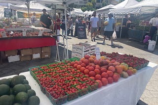 Five Things I Learned Being Vegan for 10 Years