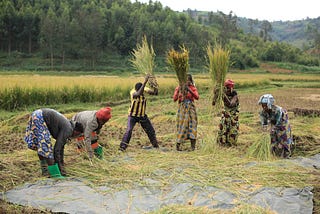 From savings to credit: What it really takes to make finance work for women and youth