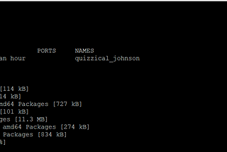 HOW TO RUN GUI TERMINAL FROM LINUX (UBUNTU) CONTAINER