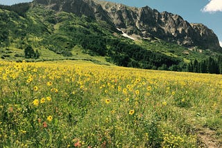 Public Lands Data Stewardship