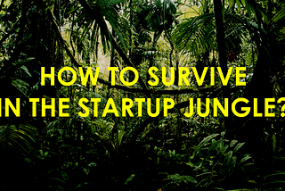 How to Survive in the Startup Jungle