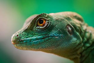 Using external secrets in Kubernetes