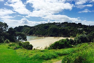 Wonder in Waiheke Island