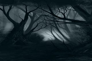 Dark, forest, tree branches at night