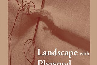 “The Snapping Open of a Valve / A Bird’s Egg”: Reading Kerrin McCadden’s LANDSCAPE WITH PLYWOOD…